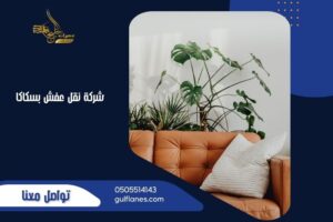 شركة نقل عفش بسكاكا