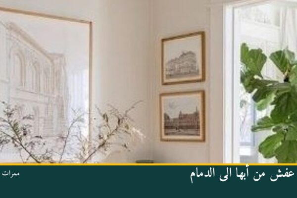 نقل عفش من أبها الى الدمام