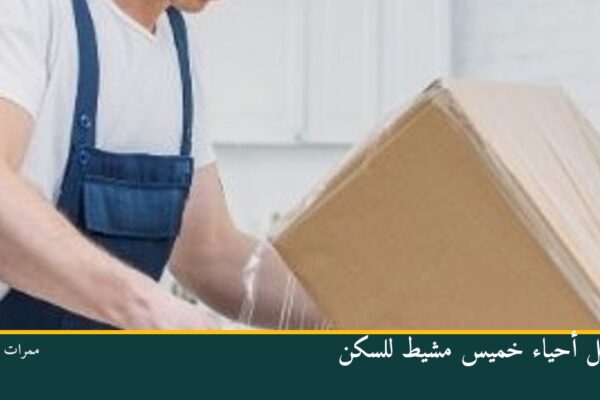 أفضل أحياء خميس مشيط للسكن