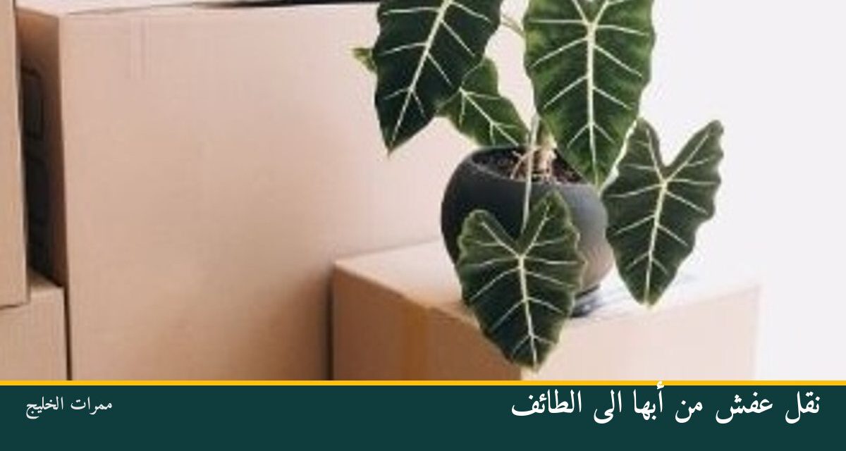 نقل عفش من أبها الى الطائف