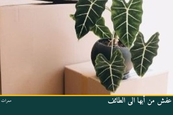 نقل عفش من أبها الى الطائف