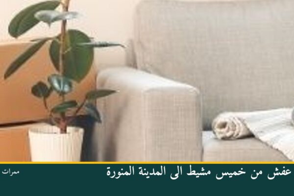 نقل عفش من خميس مشيط الى المدينة المنورة